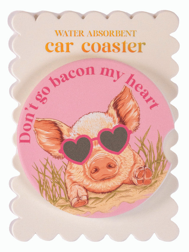 Simply Southern Car Coasters #2