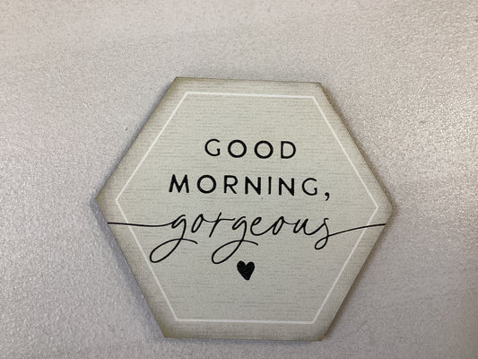 Coaster Magnets