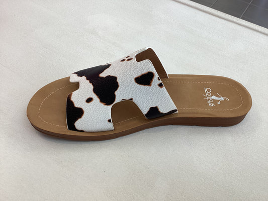 Bogalusa-Cow Smooth