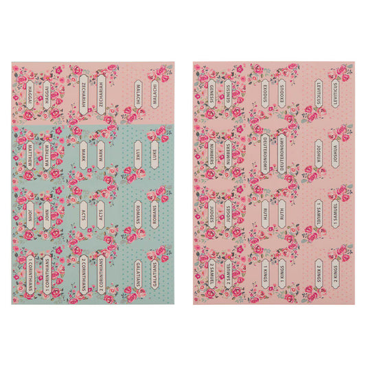 Pink and Blue Old and New Testament Bible Indexing Tabs